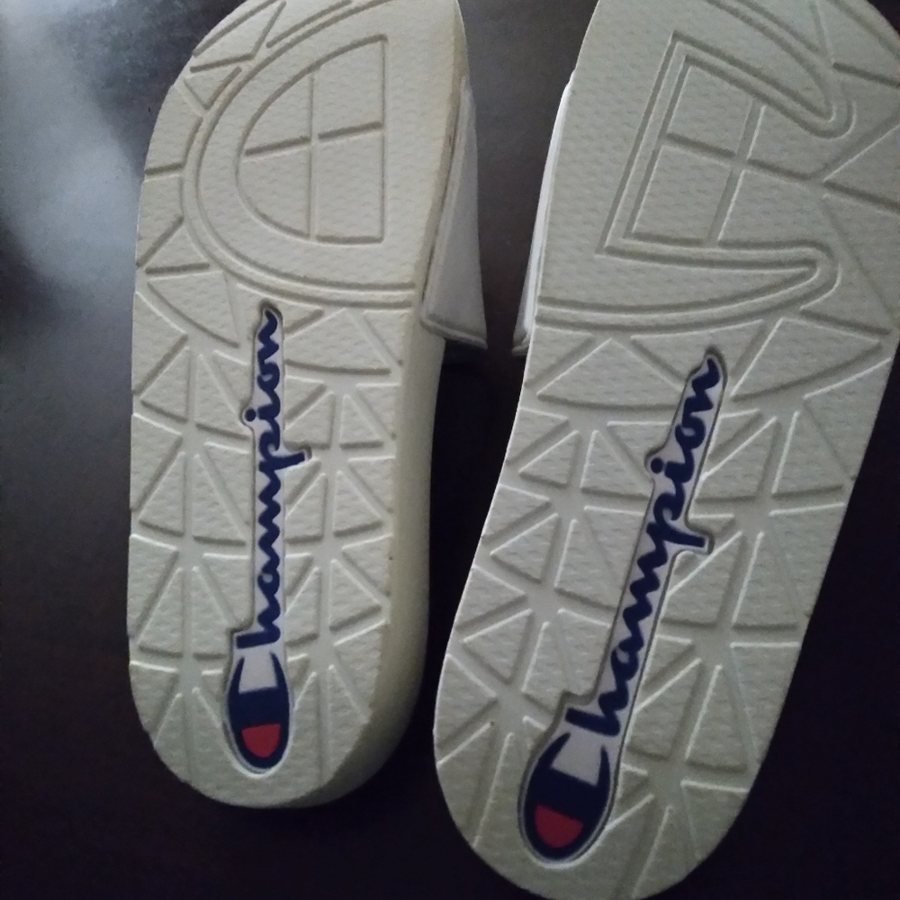 Champion slides